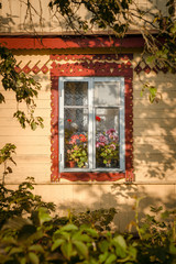 European Windows Wooden Shutters Old House Texture Outdoors Exterior