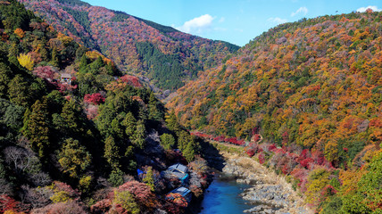 嵐山　(紅葉　11月　秋)