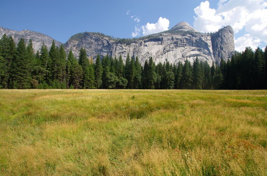 Parc national de Yousemite (Sierra Navada - USA)