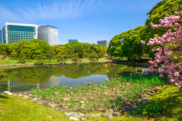 Fototapeta na wymiar Modern skyscrapers of Shiodome in Shimbashi district reflection in Hamarikyu Gardens lake. Hama Rikyu is a large, attractive landscape garden in Tokyo, Chuo district, Sumida River, Japan.