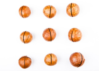 Macadamia nut white background 