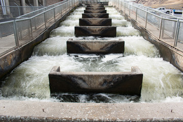 Fish ladder