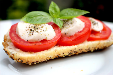 Mozzarella Tomato Basil Panini