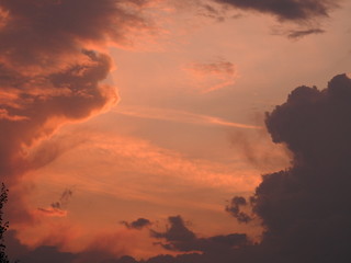Fototapeta premium morning dawn after rain, summer, nature, lilac dawn, sky
