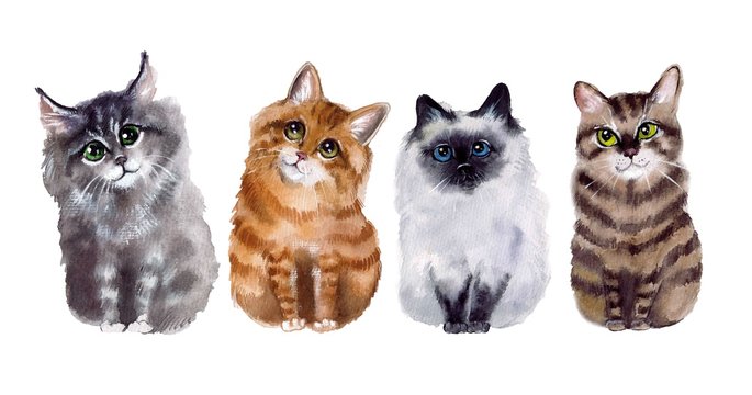 Cute watercolot cats set