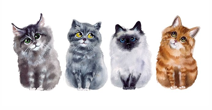 Watercolor cute cats on the white background. Watercolor funny sketch cats. Art illustrations sketch. Illustration, isolation objects for your design