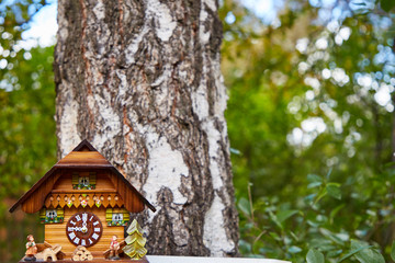 Wooden wall clock in the form of a house hang on a white birch. Background - green bushes. Design element.
