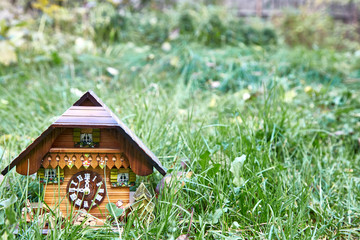 Wooden wall clock in the form of a house stand in the bright green grass. Design element. 