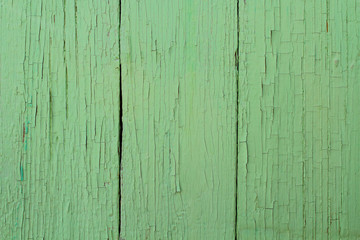 Naklejka premium Old wooden green boards. Vertical view. Close-up. Background. Texture.