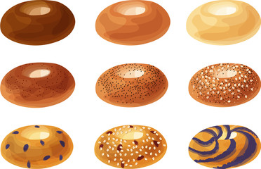 Plain, Cinnamon Sugar, Poppy Seed, Everything, Blueberry, Cranberry and Oat, and Blueberry Swirl Bagels. Isolated vector illustrations.