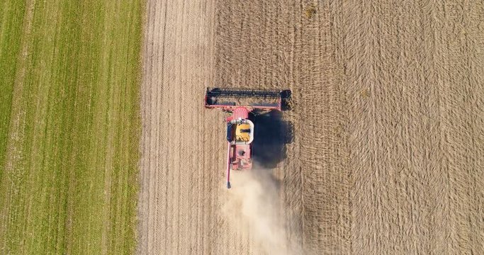 Combine agriculture machine harvesting in the field. Aerial top view