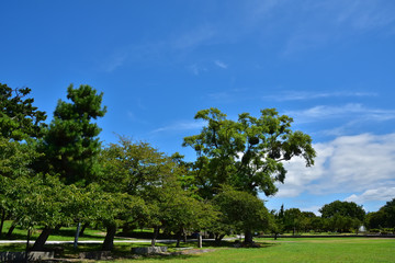 滋賀　長浜市の豊公園