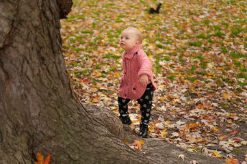 Toddler in the Park in Fall