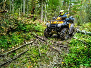 Off-road. A man drives through the marshy part of the forest. ATV. Travel through the forest. All-terrain vehicle. A man controls the ATV.