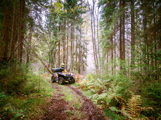 Fototapeta premium Off-road. A man is riding in an all-terrain vehicle through the forest. ATV. Travel through the forest. All-terrain vehicle. A man controls the ATV. Quad bike.
