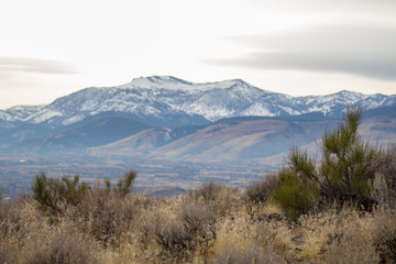 Sierra Nevada desert mountains