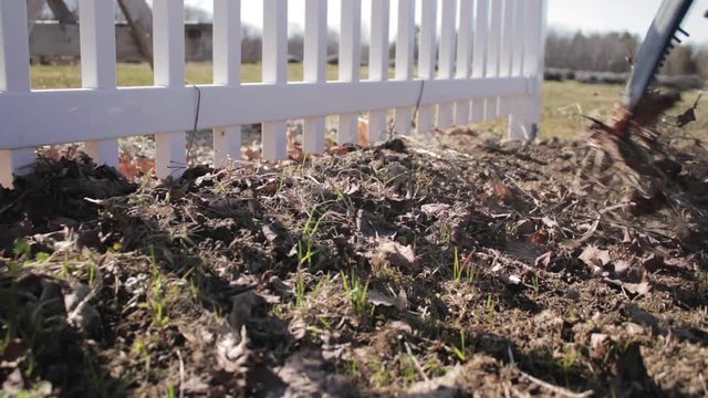 Raking leaves near white picket fence - Spring clean up