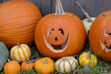 Smiling carved pumpkin sitting in front of  fence