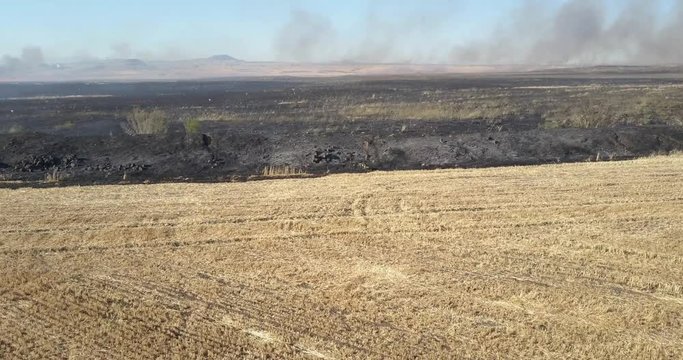 Fire in Golan Heights Aerial view
Flying over fire at in Golan Heights , Israel
