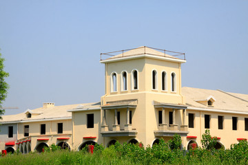 Unfinished building and green plants