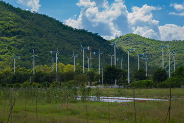 Fototapeta na wymiar Windmills for electric power production in Royal Initiative Project Chang Hua Mun project demonstrate holistic agriculture for sufficient economy at Hua Hin district Phetchaburi, Thailand