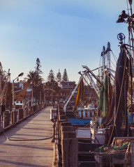 Fishing boats moored