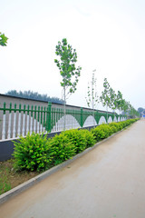 fence and green trees
