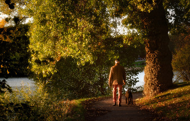 Fototapeta premium A walk in the park
