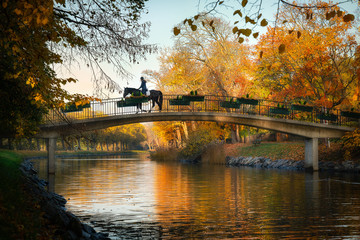 A magical scene in stockholm city