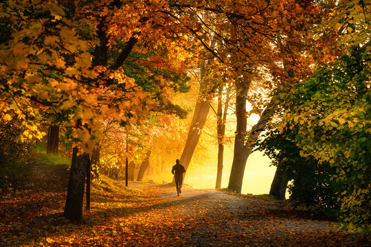 Jogging  in stockholm city