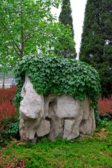 ivy and stone in a garden