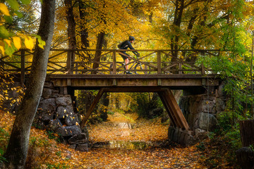 Cyklist on bridge