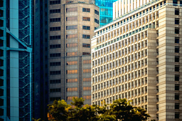 office building closeup and tree, business concept