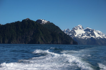 Pine tree covered mountain next to snow covered mountain next to ocean with wave under clear blue sky near Seward Alaska