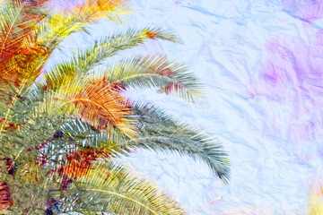 Photo of bright tropical palms on a sunny island