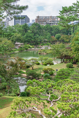 Obraz premium 縮景園夏景色