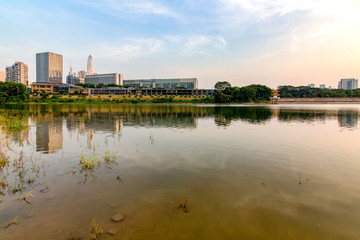 Obraz premium Landscape of Xiangmihu Park in Shenzhen