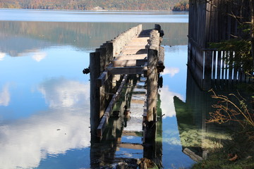 Ducks in clear water under broken jetty near boathouse in autumn 3535
