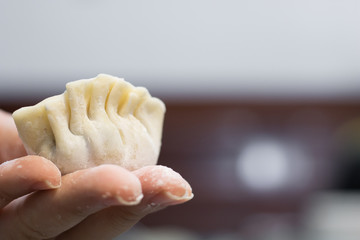 Fototapeta na wymiar Home-made recipe for dumplings.