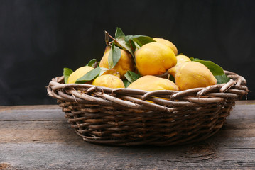 a large woven basket filled with yellow quince with leaves and stems on a rustic table with a black background