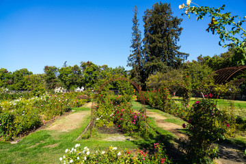 view in Rose Gardens