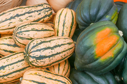 Lots of Acorn squash and delicata squash at the farmers market
