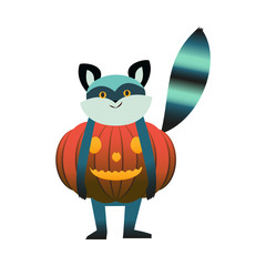 Vector cartoon halloween raccoon animal character standing in spooky, scary pumpkin jack'o lanterns costume. Halloween holiday symbol, trick or treat traditional autumn horror kids celebration.