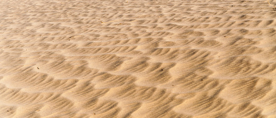 Sand waves texture and pattern 