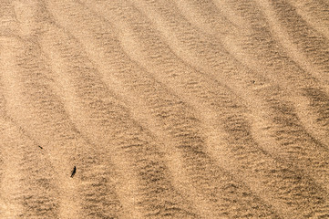 Sand wave dunes texture and backgrounds