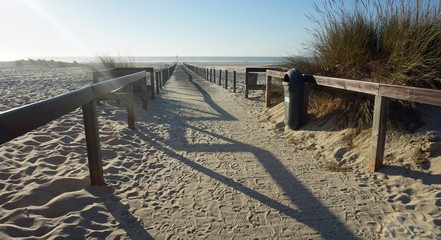 wooden path in the sand dunes of aveiro