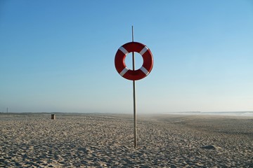 sand dunes of sao jacinto beach near aveiro