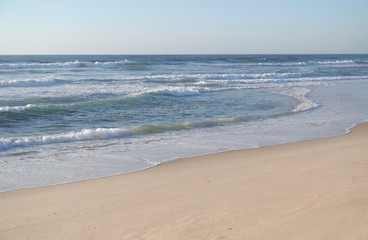 Fototapeta na wymiar sand dunes of sao jacinto beach near aveiro