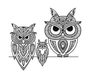 Ornate owl, zenart for your design