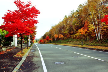 北海道、札幌近郊の秋の風景